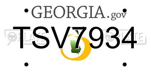 TSV7934 Georgia License Plate