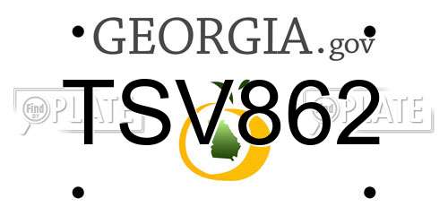 TSV862 Georgia License Plate