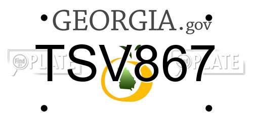 TSV867 Georgia License Plate