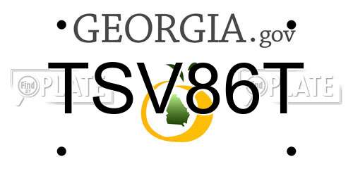 TSV86T Georgia License Plate