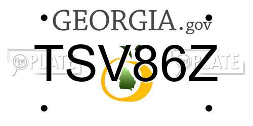 TSV86Z Georgia License Plate