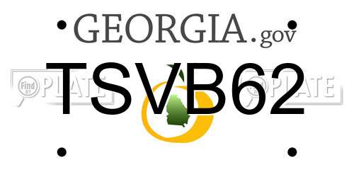 TSVB62 Georgia License Plate