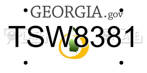 TSW8381 Georgia License Plate