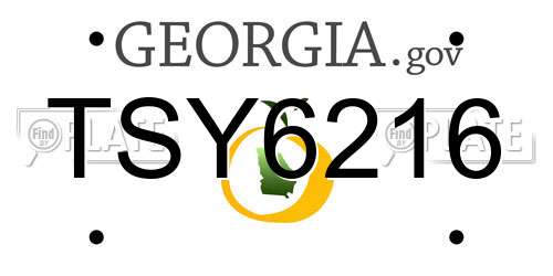 TSY6216 Georgia License Plate