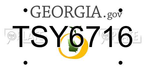TSY6716 Georgia License Plate