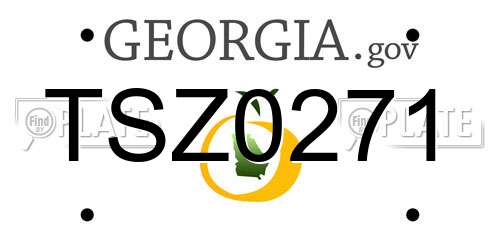 TSZ0271 Georgia License Plate