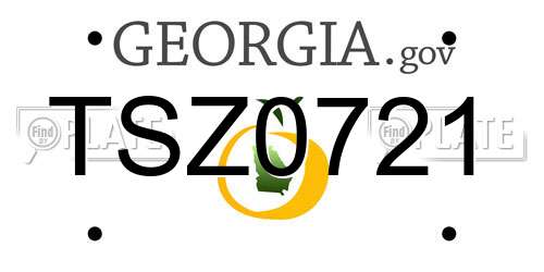 TSZ0721 Georgia License Plate