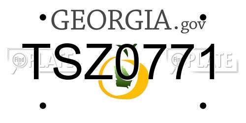 TSZ0771 Georgia License Plate