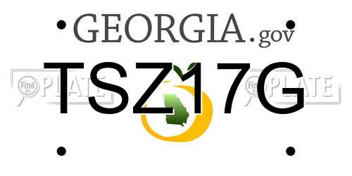 TSZ17G Georgia License Plate