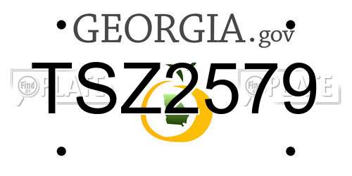 TSZ2579 Georgia License Plate