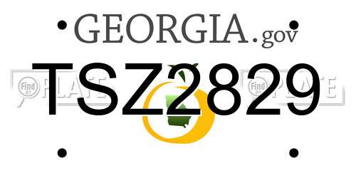 TSZ2829 Georgia License Plate
