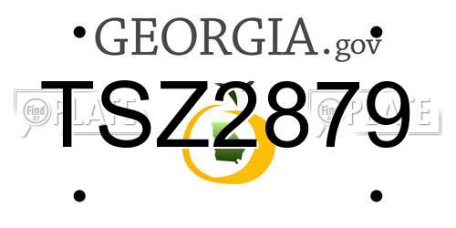 TSZ2879 Georgia License Plate