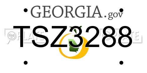 TSZ3288 Georgia License Plate