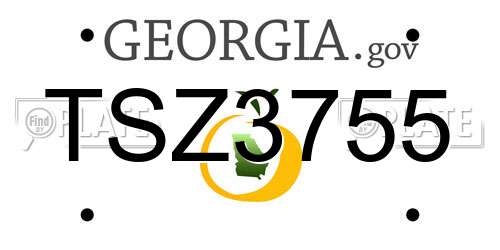 TSZ3755 Georgia License Plate