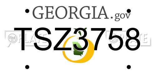 TSZ3758 Georgia License Plate