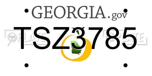 TSZ3785 Georgia License Plate