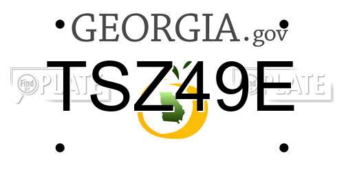 TSZ49E Georgia License Plate