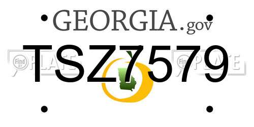 TSZ7579 Georgia License Plate