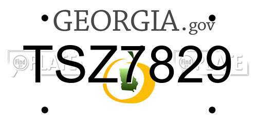 TSZ7829 Georgia License Plate