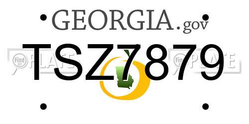 TSZ7879 Georgia License Plate