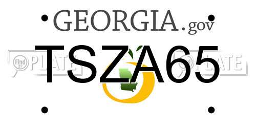 TSZA65 Georgia License Plate
