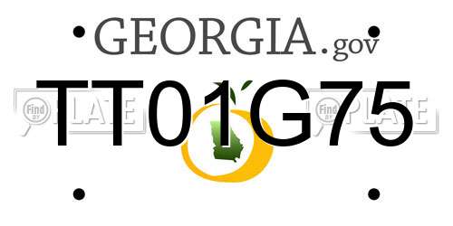 TT01G75 Georgia License Plate