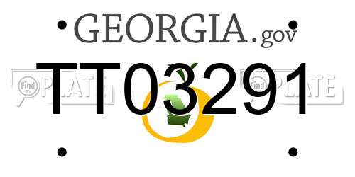 TT03291 Georgia License Plate