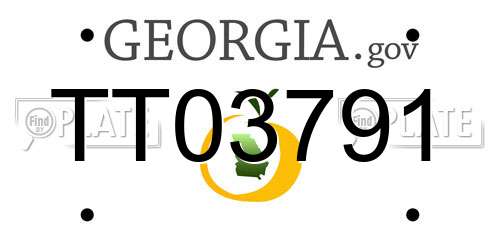 TT03791 Georgia License Plate