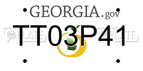 TT03P41 Georgia License Plate