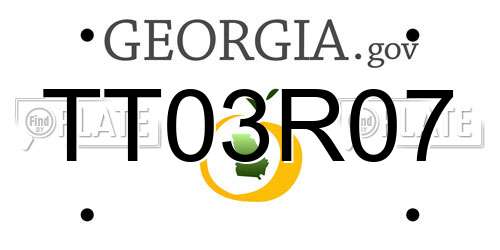 TT03R07 Georgia License Plate