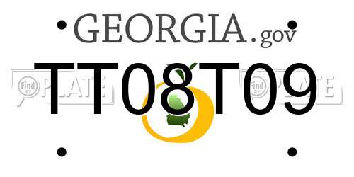 TT08T09 Georgia License Plate