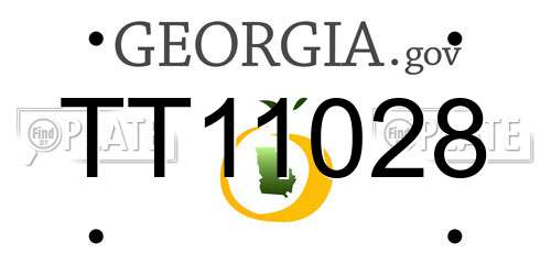 TT11028 Georgia License Plate