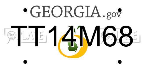TT14M68 Georgia License Plate
