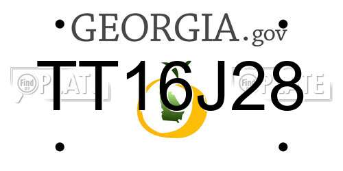 TT16J28 Georgia License Plate