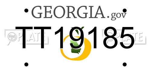 TT19185 Georgia License Plate
