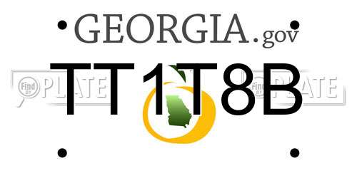 TT1T8B Georgia License Plate