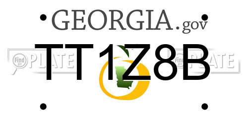 TT1Z8B Georgia License Plate