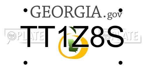 TT1Z8S Georgia License Plate