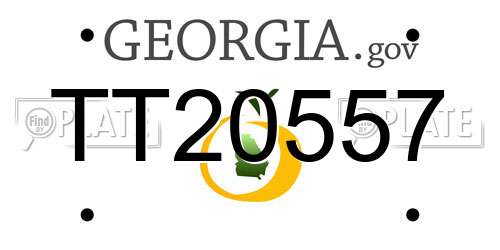 TT20557 Georgia License Plate