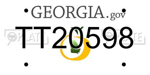 TT20598 Georgia License Plate