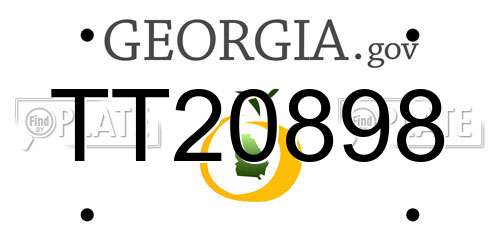 TT20898 Georgia License Plate