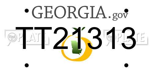 TT21313 Georgia License Plate