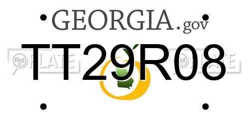 TT29R08 Georgia License Plate