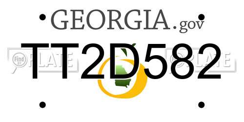 TT2D582 Georgia License Plate