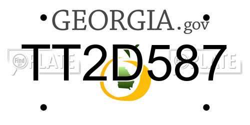 TT2D587 Georgia License Plate
