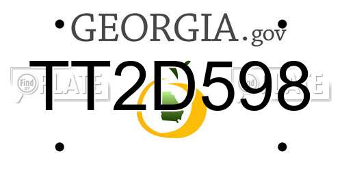 TT2D598 Georgia License Plate