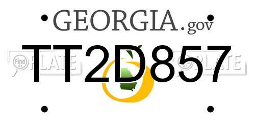 TT2D857 Georgia License Plate
