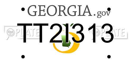 TT2I313 Georgia License Plate