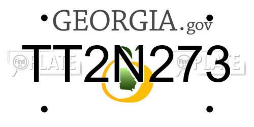 TT2N273 Georgia License Plate