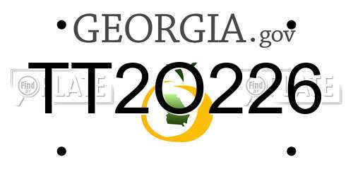TT2O226 Georgia License Plate